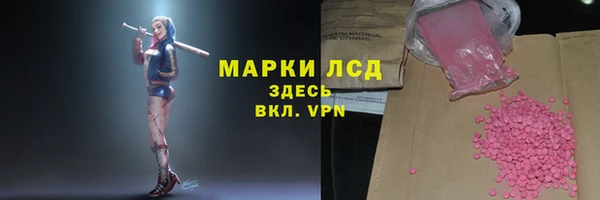трава Новозыбков